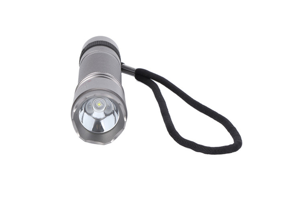 Approbation en aluminium de l'argent ATEX LED de lampe-torche anti-déflagrante d'IP66 100Lm 1W